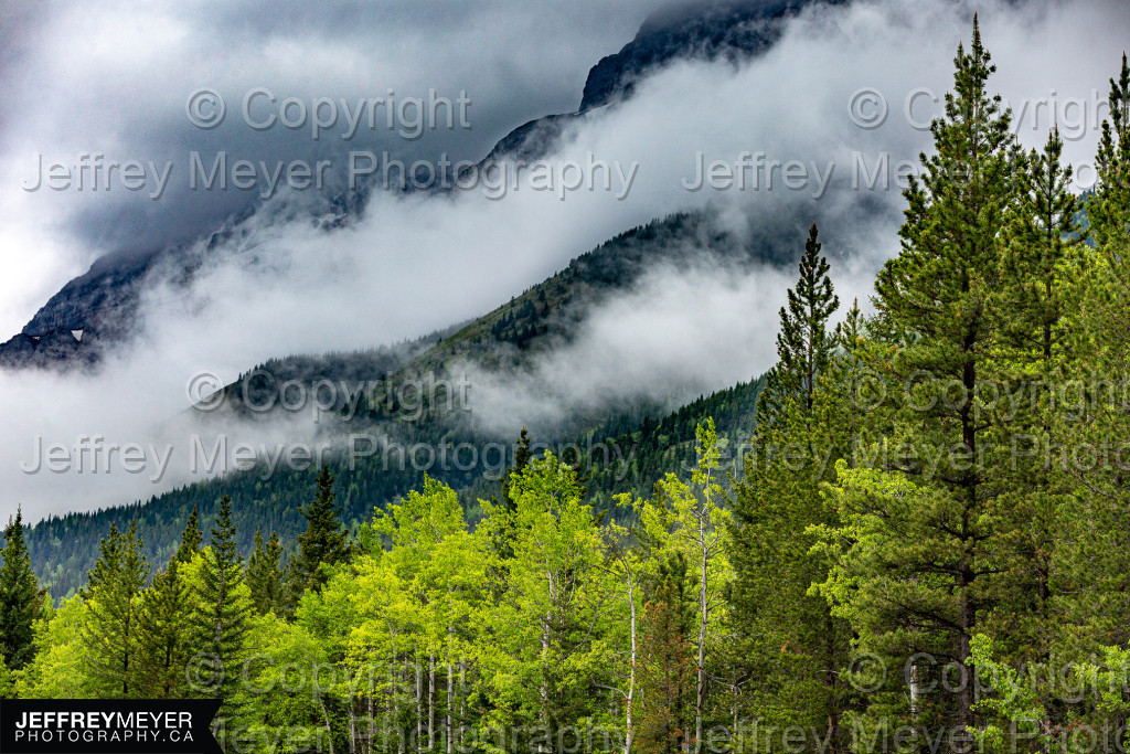 Kananaskis Country Treeline and Clouds
