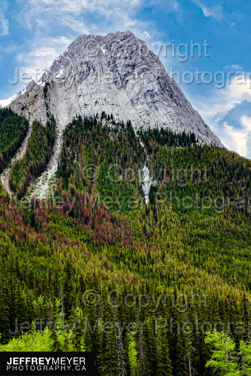 Canada, Mountain, Nature, Trees