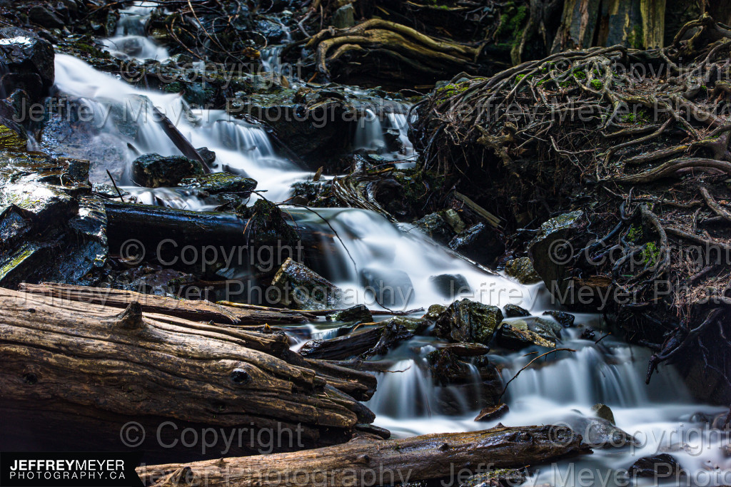 Nature, Stream, Water, wood